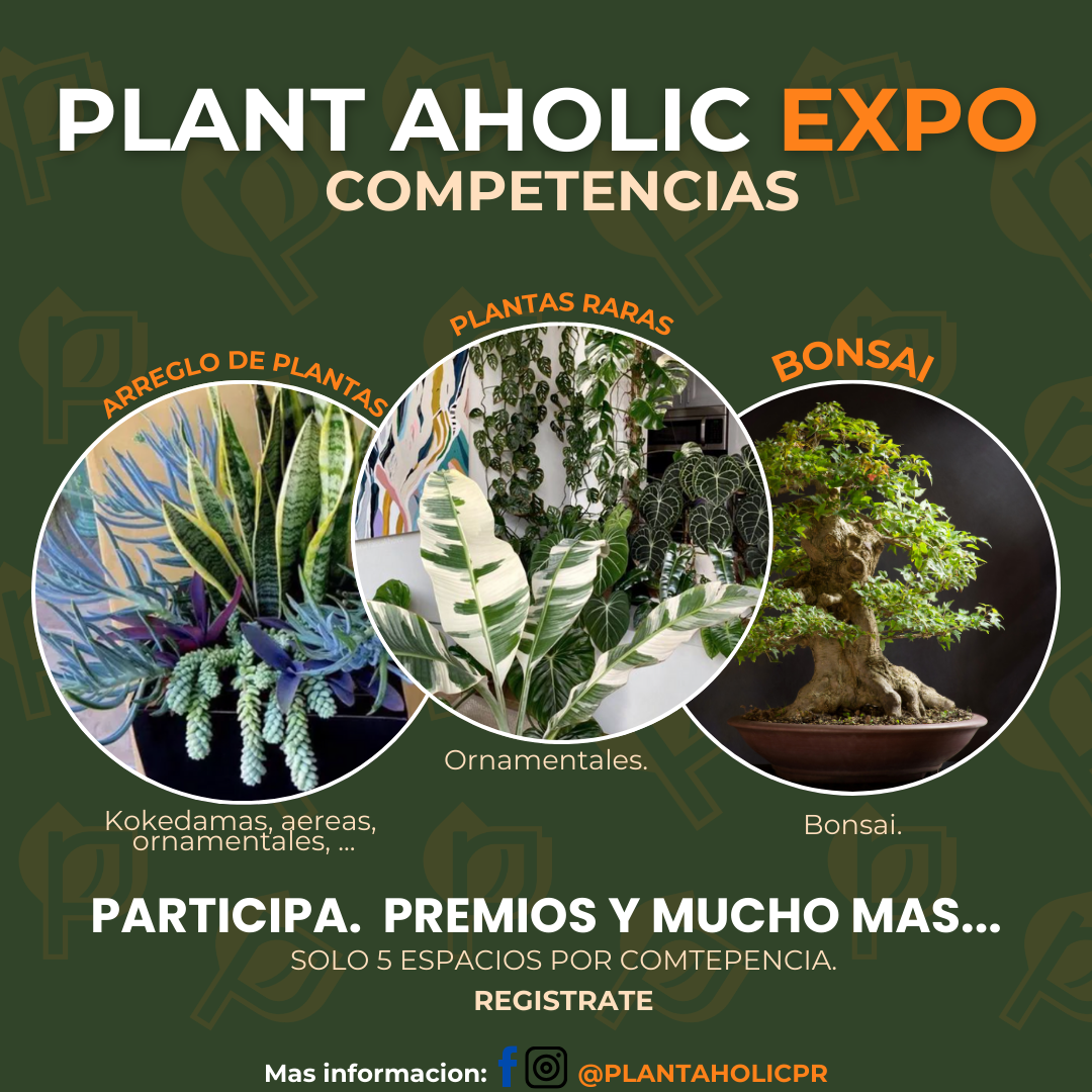 COMPETENCIAS-  PLANT AHOLIC EXPO