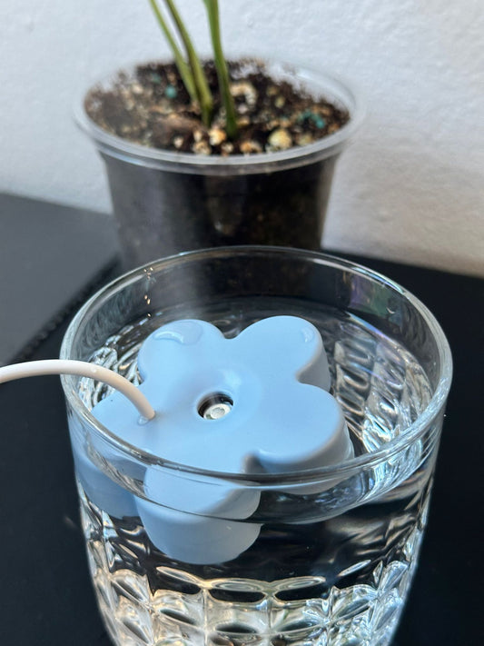 Portable Humidifier for Plants